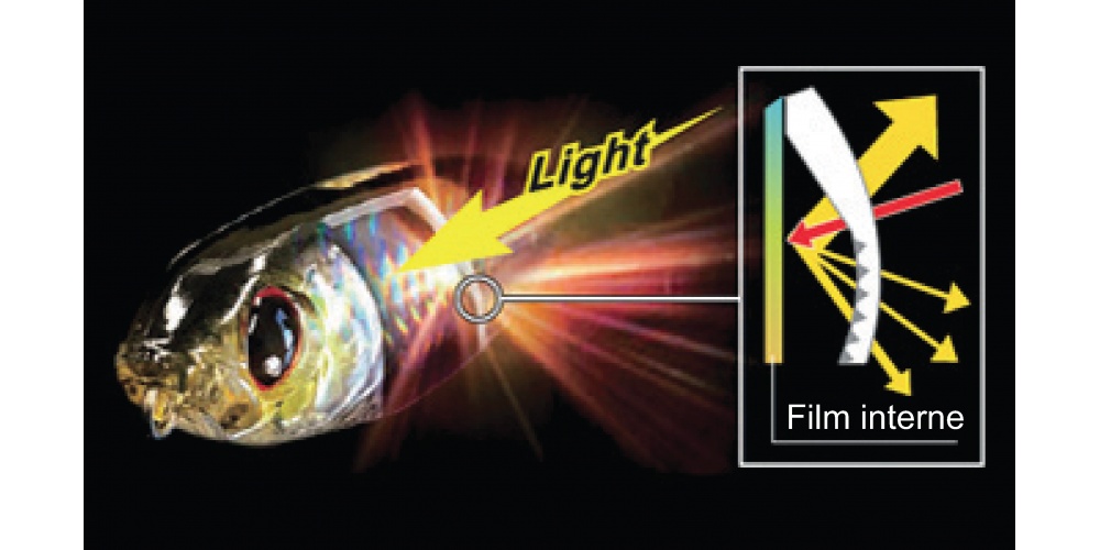 Le film holographique interne du 3DB Pencil Yo-Zuri renvoie de multiples reflets Le film holographique interne du 3DB Pencil Yo-Zuri renvoie de multiples reflets