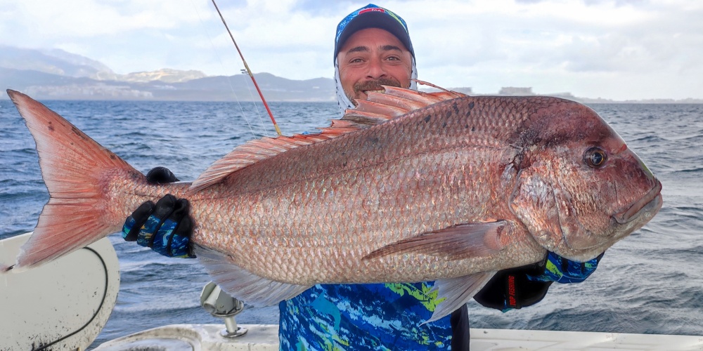 Un magnifique Denté rose (sama) pêché avec un Fireball Top Sea ! Un magnifique Denté rose (sama) pêché avec un Fireball Top Sea !