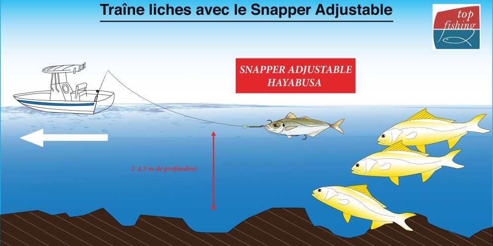 Le montage Snapper Adjustable Hayabusa est parfait utilisé sans plomb pour les pêches peu profondes : le top pour la liche !
