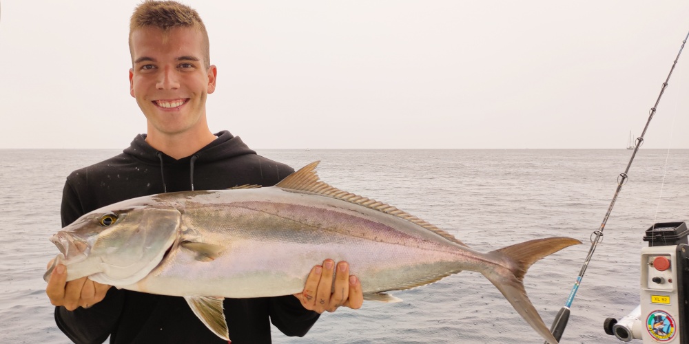 Une belle sériole telle que celle-ci est facilement pêchable quand on utilise un downrigger Kristal Fishing !