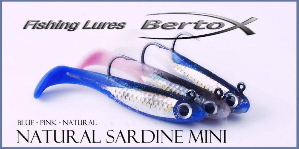 Natural Sardine Bertox : le seul shad spécifiquement conçu pour le thon !