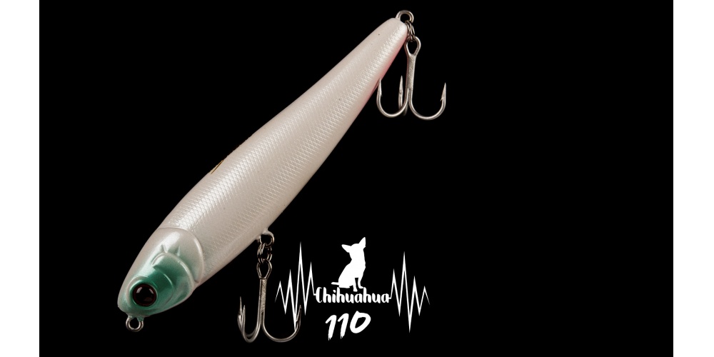 Joli bar pêché avec un stickbait Chihuahua Luna Bait ! Joli bar pêché avec un stickbait Chihuahua Luna Bait !