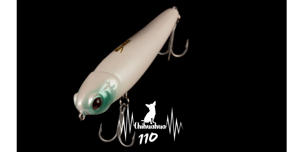 Joli bar pêché avec un stickbait Chihuahua Luna Bait ! Joli bar pêché avec un stickbait Chihuahua Luna Bait !