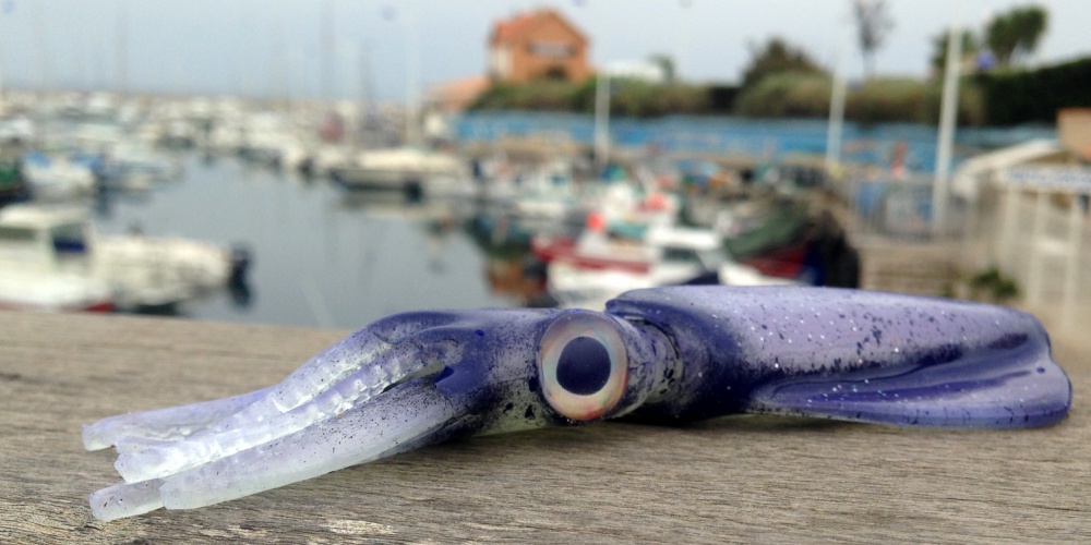 Le Kraken UV Violet en Essai dans le port de Sausset