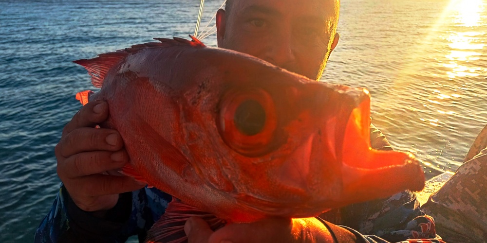 Jérôme pose fièrement avec un vivaneau rouge capturé lors d'une sortie en mer, sous un magnifique coucher de soleil en Martinique.