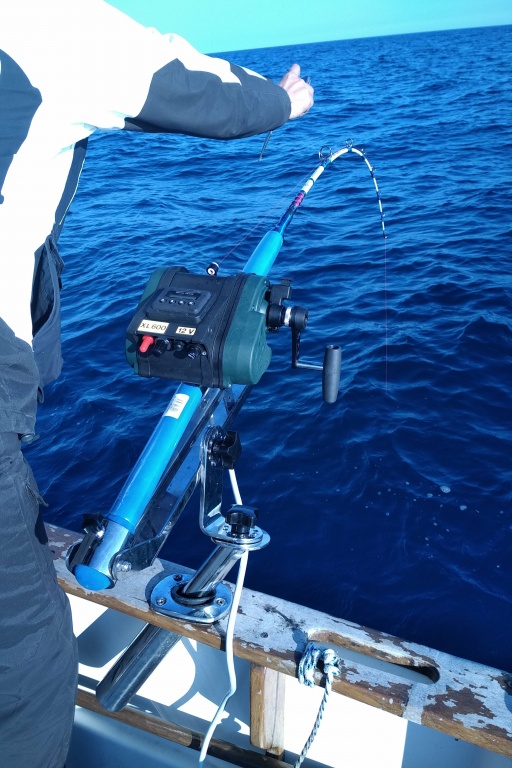 Très compact, le moulinet électrique XL 600 Kristal Fishing est idéal pour pêcher les dorades roses en grandes profondeurs