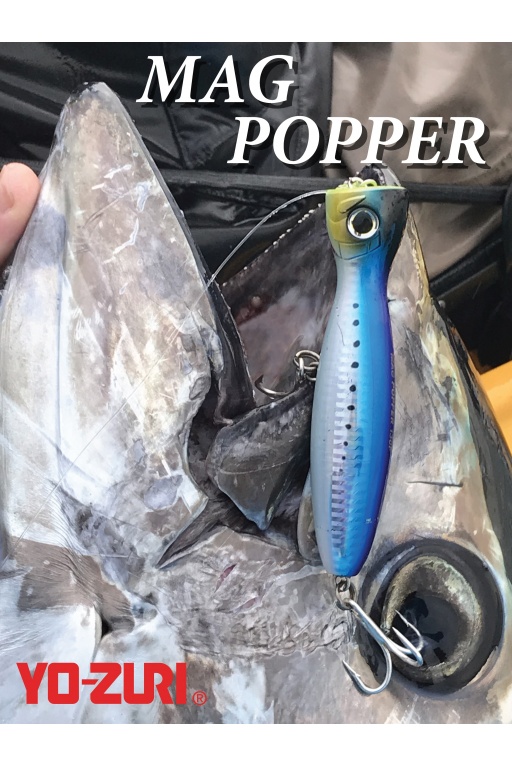 Le Mag Popper Yo-Zuri est un aimant à thons rouges !