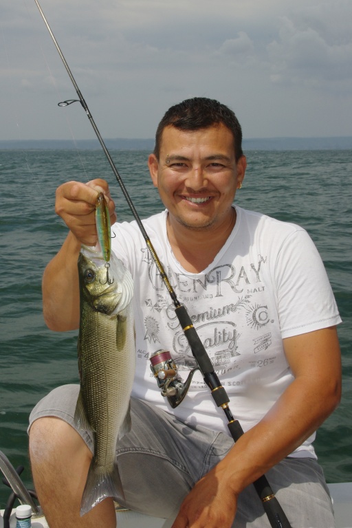 Le 3DB Pencil est si sonore qu’il fait bouger les poissons de très loin ! Le 3DB Pencil est si sonore qu’il fait bouger les poissons de très loin !