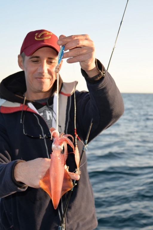 Les Ultra Baits permettent de pêcher des calamars même en pleine journée