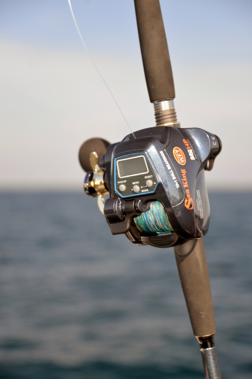 Le moulinet électrique Sea King 550 HP WFT est un must pour équiper la canne In Shore C198 Top Fishing !