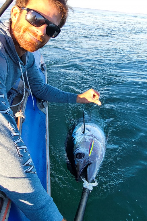L’Hydro Monster Shot Yo-Zuri est d’une rare efficacité sur les thons rouges !