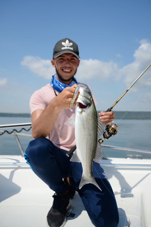 Joli bar pêché au Patchinko 100 Xorus par mer d’huile ! Joli bar pêché au Patchinko 100 Xorus par mer d’huile !