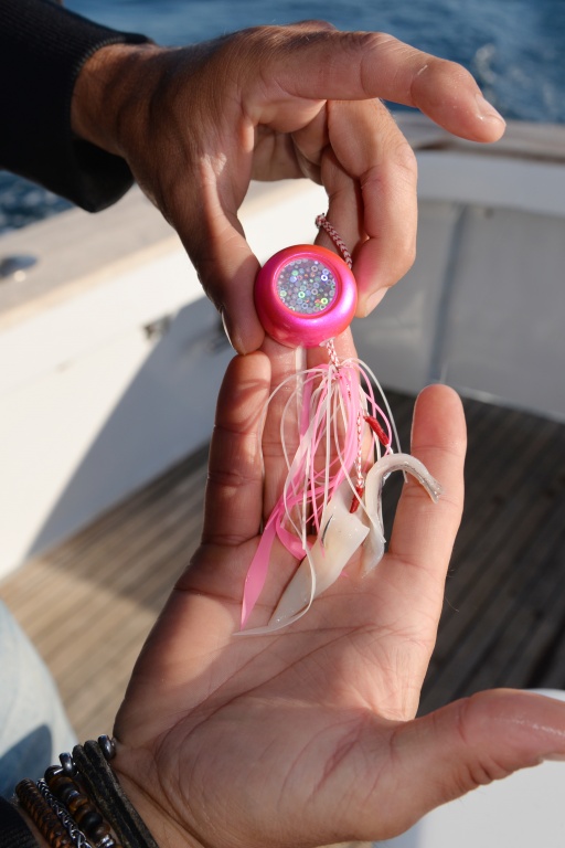 Pour la pêche du merlu, il est possible de booster vos madaï jigs avec des lanières de calamar !