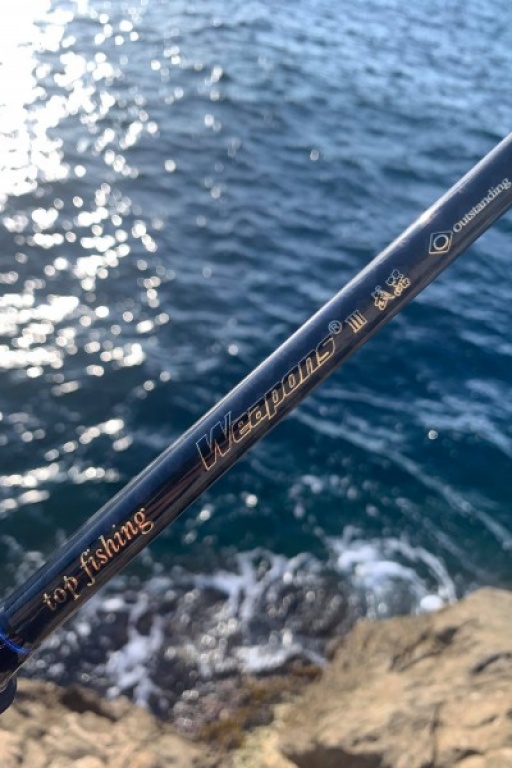 Canne Weapons Top Fishing