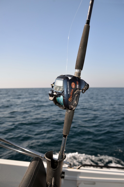 La canne In Shore C198 Top Fishing est idéale associée à un moulinet Sea King 550 HP WFT pour les pêches profondes 