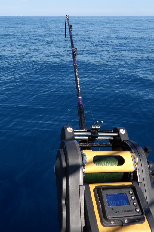 Le moulinet récupère le calamar rouge touché à prés de 600 m de fonds