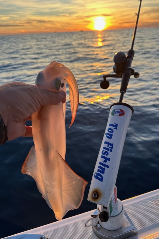 Philippe Maréchal pêche au calamar à Carry