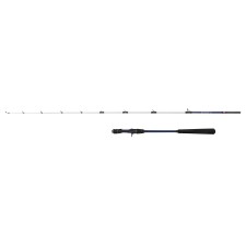 Canne Penn Battalion III Jigging Cast