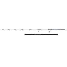 Canne Penn Battalion III Popping Spinning Rod