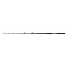 Canne Penn Regiment IV Jigging Casting Rod