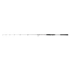 Canne Penn Regiment IV Jigging Spinning Rod