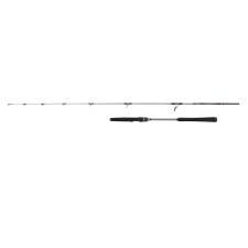 Canne Penn Regiment IV Light Jig Spinning Rod