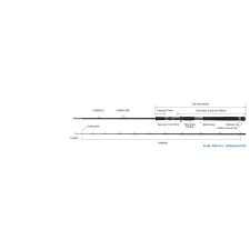 Canne Zenaq Glanz 2025_GB84