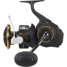 Moulinet Daiwa Bg SW 27 - Exo - 10000