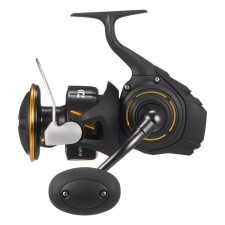Moulinet Daiwa Bg SW 27 - Exo - 14000