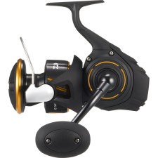 Moulinet Daiwa Bg SW 27 - Exo - 8000