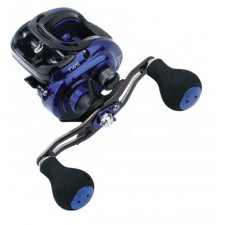 moulinet-daiwa-coastal-tws.jpg