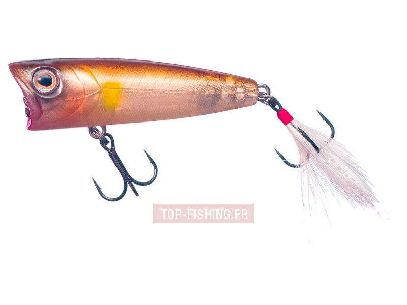 -leurre-smith-best-fish-arrow-popper-6-gr-couleur-03.jpg