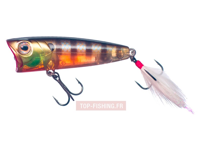 -leurre-smith-best-fish-arrow-popper-6-gr-couleur-04.jpg