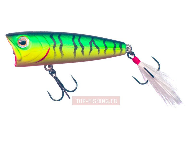 -leurre-smith-best-fish-arrow-popper-6-gr-couleur-05.jpg