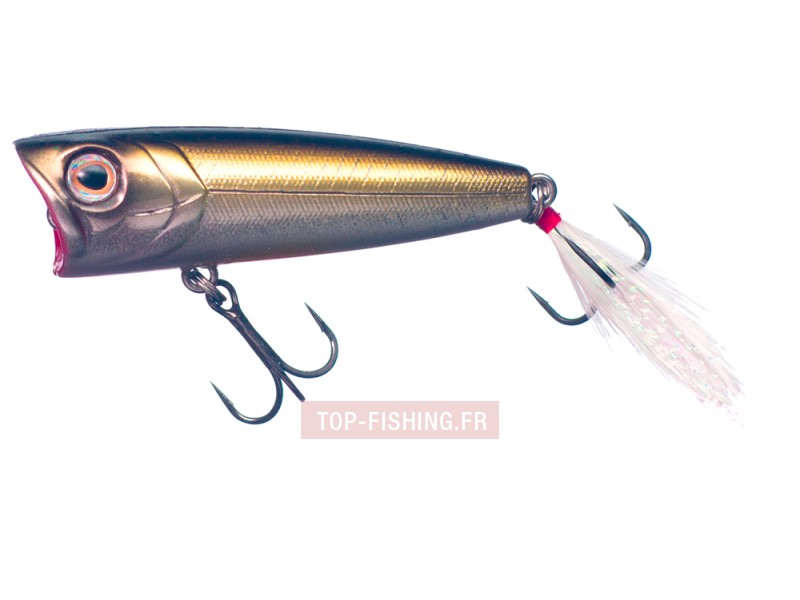 -leurre-smith-best-fish-arrow-popper-6-gr-couleur-06.jpg