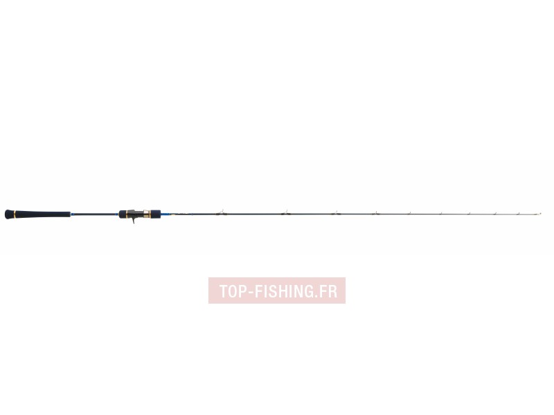 canne-blue-ocean-light-jigging-2m01-150g.jpg