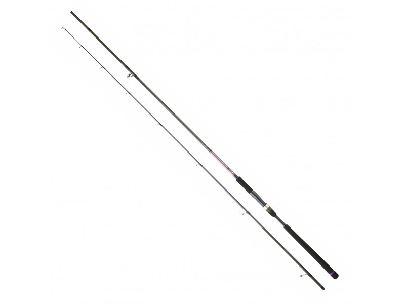 canne-daiwa-crosscast-seabass-rocky-1002.jpg