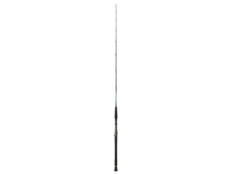 Canne Daiwa Harrier Jigging-HRJHD581XXHBBF