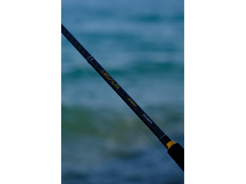 Canne Daiwa Legalis Seabass 2025
