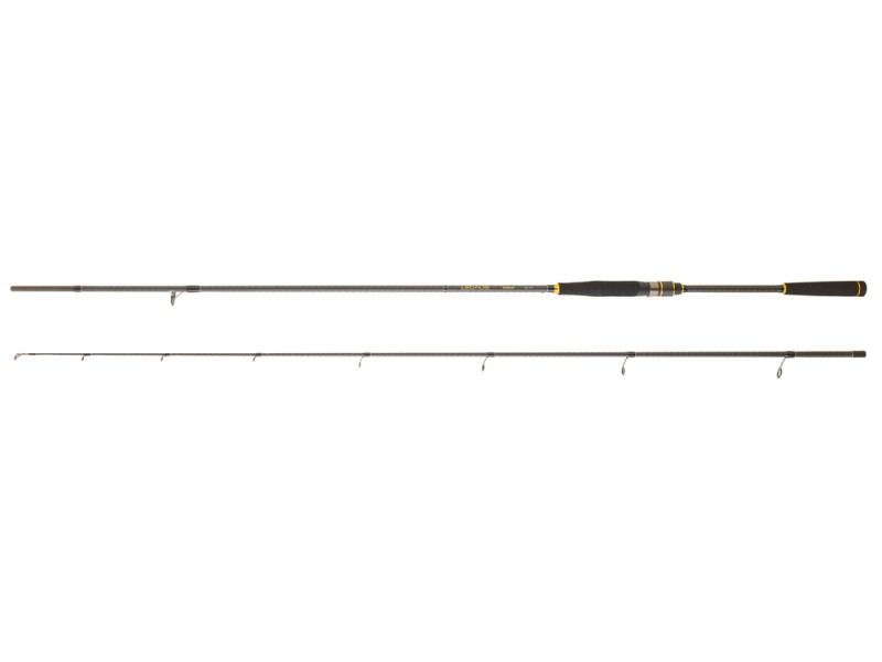 Canne Daiwa Legalis Seabass 2025