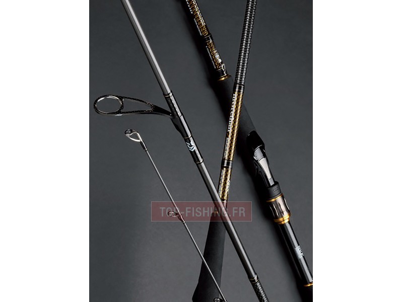 canne-daiwa-morethan-air-game-custom-4.jpg