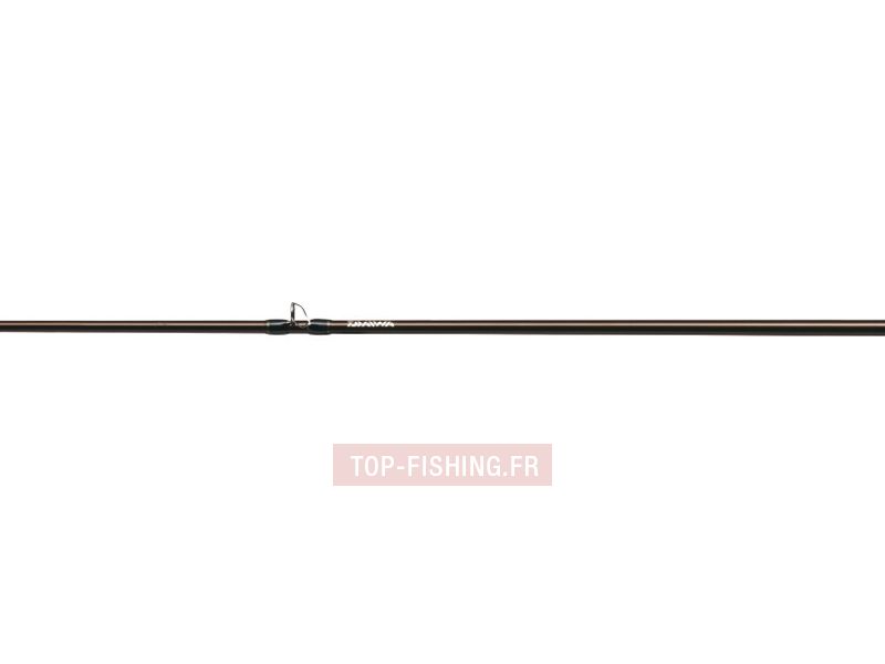 canne-daiwa-steez-lightning-3.jpg