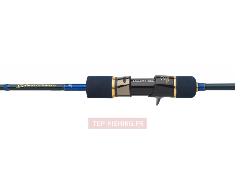 canne-hearty-rise-blue-ocean-jigging-6.jpg