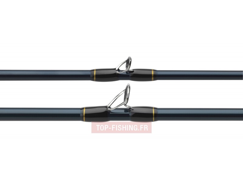 canne-hearty-rise-blue-ocean-jigging-anneaux.jpg
