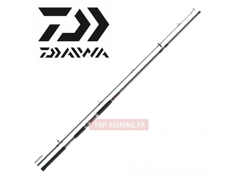 canne-lancer-bord-daiwa-jigcaster.jpg