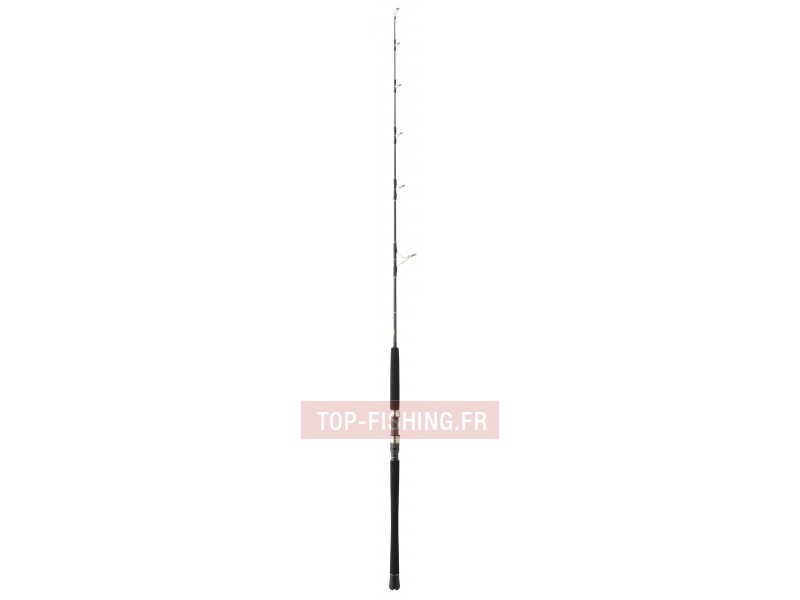 canne-monster-game-jig-1m66-70-150g.jpg