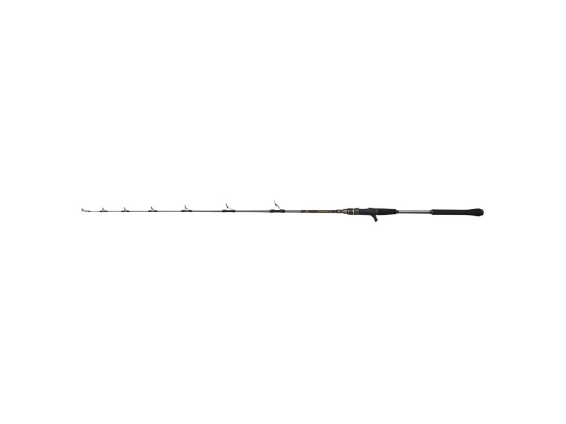 Canne Penn Regiment IV Jigging Casting Rod
