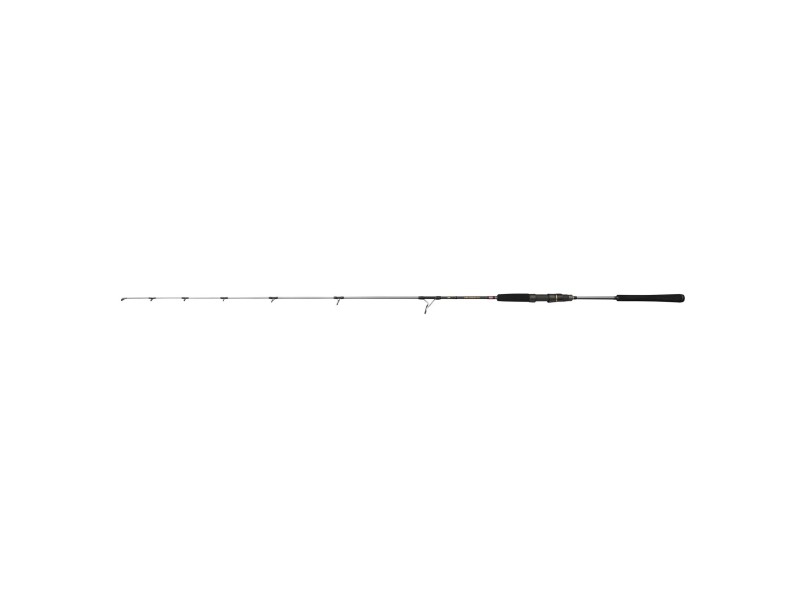 Canne Penn Regiment IV Jigging Spinning Rod
