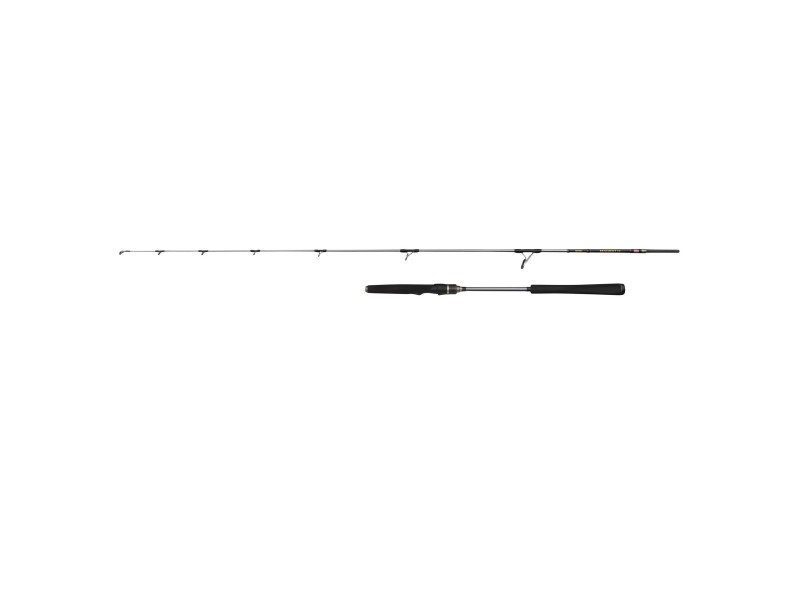 Canne Penn Regiment IV Light Jig Spinning Rod