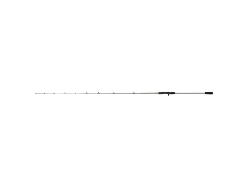 Canne Penn Regiment IV Slow Jig Casting Rod
